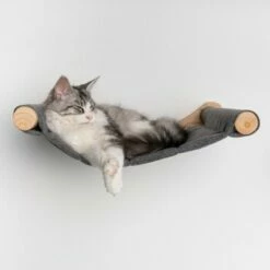 RHR Quality Wandmöbel Kletterwand Katze - Hängematte XXL De Luxe 13 RHR Quality Wandmöbel Kletterwand Katze - Hängematte XXL De Luxe -ANIMONDA Verkäufe 475a8e1197d8955e467e23c6d6569164215ad0b7 1655443 de DE 86388ca5f84f7125c05ab89c1927d92edf94dd47mPr80Z
