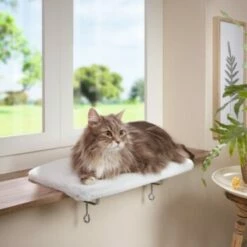 AniOne Fensterliegeplatz -ANIMONDA Verkäufe 48b4c875f72788d493de559eab0e5688d72d5fb7 b558c550dc7f6e4c2f13fbb0d43c30b225535e90