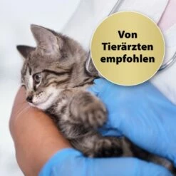 Felisept Home Comfort Beruhigungshalsband Für Katzen 10 Felisept Home Comfort Beruhigungshalsband Für Katzen -ANIMONDA Verkäufe 49f63f3eec6617dbc795d98ab15477ddca010d3a 1238279 de DE Felisept 2