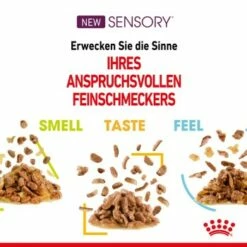 ROYAL CANIN SENSORY Smell In Gelee Für Wählerische Katzen 12x85g -ANIMONDA Verkäufe 4a632532d23d065e189b82401db5c561b6749e74 bbe7e159ee2cfcc0155771b211da953377ec5c40