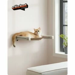 FEANDREA Clickat Katzenmöbel 2er Set, Kletterwand -ANIMONDA Verkäufe 4a9143dfa07ee97ae4b87022cd8bf2fe1491f811 1681501 de DE a39910e1400039cebe0247b4991dedcb1a62d9dd4koAVO