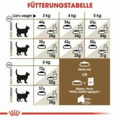 ROYAL CANIN Ageing 12+ Sterilised 4 Kg -ANIMONDA Verkäufe 4ce8eb38a167b532004afcb21e5f40042d29ae5a 1201903453cc527013bd50d4537b9f7016918cfe