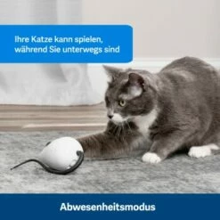 PetSafe Automatisches Katzenspielzeug RoloRat 9 PetSafe Automatisches Katzenspielzeug RoloRat -ANIMONDA Verkäufe 4e48313abe110e77b48862456b3054c8cbc622dd 1351522 de DE cc35ab35cec54291341f643ff079f60e72f56895BvuHXl
