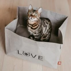 Canadian Cat Company Katzenbett Winnipeg 16 Canadian Cat Company Katzenbett Winnipeg -ANIMONDA Verkäufe 4f163c23f3c00759be25633fb22100eb50b10eed 1360995 de DE e27163ea0c21fd571c9e22268b69a4d1b68affe5UBt2yy