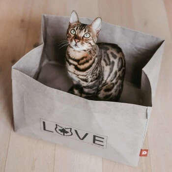 Canadian Cat Company Katzenbett Winnipeg 9 Canadian Cat Company Katzenbett Winnipeg – Bild 7