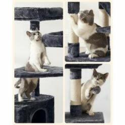 FEANDREA Katzenbaum 142cm Hellgrau Dunkelgrau -ANIMONDA Verkäufe 5071281c5c78d6bb9462bee7f019c08f31cc23a6 1483569 de DE c7b97977490699e7b523c9b7a192ab5b0704d433CGxWn2