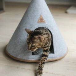 Canadian Cat Company Katzenzelt Cone -ANIMONDA Verkäufe 5109d27ef761061b6b743871ab0498da3478f504 1394210 de DE f112ffaf078c6f8bf03764511a0d90aab2c21021HdDAgd