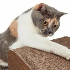 Canadian Cat Company Kratzbrett Satellite 2.0 Braun 17 Canadian Cat Company Kratzbrett Satellite 2.0 Braun -ANIMONDA Verkäufe 51d726ab18583b5b75703fa2588fac66b1e75dc3 1310301 de DE 26e3a5a4fc0c6541cbfd55bcdee423c53adff143SYgLld