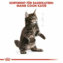 ROYAL CANIN Maine Coon Kitten 4 Kg -ANIMONDA Verkäufe 5363adbcd5720069c9dee834c28d247ed6c58d7d 78d41fa69f58c3708158103686f8d71d73464eed