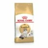 ROYAL CANIN Ragdoll Adult 10 Kg