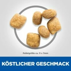 Hill's Feline Science Plan Adult Oral Care 7 Kg -ANIMONDA Verkäufe 56ecd72918f6b25116cc1442f63e2d2973b20147 52742752204 6