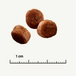 SELECT GOLD Sensitive Digestion Adult Geflügel Und Reis 2,5 Kg 12 SELECT GOLD Sensitive Digestion Adult Geflügel Und Reis 2,5 Kg -ANIMONDA Verkäufe 571cc49e96eaa29d93cdb9496136ed90f38f0ce7 1243347 de DE 6