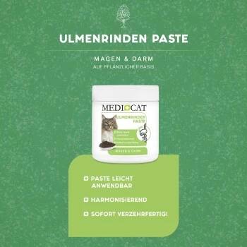 MediCat Ulmenrinde Paste 6 MediCat Ulmenrinde Paste – Bild 4