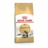 ROYAL CANIN Maine Coon Adult 10 Kg 1 ROYAL CANIN Maine Coon Adult 10 Kg -ANIMONDA Verkäufe 584cfb4e8a0988a307084e6c56defb2761242fd4 1003122016 de DE mainecuuuun 1 Kopie