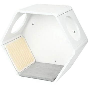 AniOne Wandhöhle 3 AniOne Wandhöhle