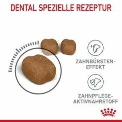ROYAL CANIN Dental Care 3,5 Kg -ANIMONDA Verkäufe 5fb2afd9953b01669eac47bd89d44929db4d1f18 1003121009 de DE rc 6