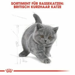 ROYAL CANIN British Shorthair Kitten 2 Kg -ANIMONDA Verkäufe 64125f190883e96661f93d5b5db0d481b8b12589 263c8c6b1a98e1881835868f52cc2ea3e9412ec3