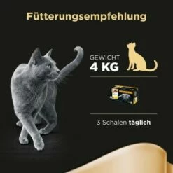 Sheba Selection In Sauce 32x85g -ANIMONDA Verkäufe 67890fa30c253ae14afae90d7afce36bf2d4bf55 f3d10d4a2b41518df483944aaa4f3a790f15504c