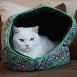 Canadian Cat Company Katzentunnel COSMO M -ANIMONDA Verkäufe 67f448259cbca2b76f0f056d6321e3f462cbbfb2 1412665 de DE 5bb2b25340ddb934c05b11da4b3410ce26fcf1f8fEc8B6