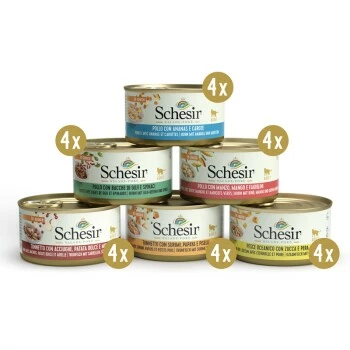 Schesir Multipack Salads Poke 24x85g 3 Schesir Multipack Salads Poke 24x85g
