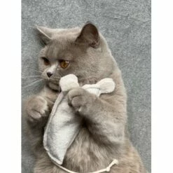 Kater Kasimir Premium Paket Mit 7 Beliebten Katzenspielzeugen Aus Naturmaterial -ANIMONDA Verkäufe 69d850d83d44dd51ee163b4ce9871d685e5144a3 1408152 de DE 5e0e2fa341f3b7f13618444c260f3bc5df86140eIfTKHQ