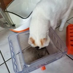 THOMAS Staubsauger 17 THOMAS Staubsauger -ANIMONDA Verkäufe 6a70c632a0bab42059bec4b43d139a5d2e40f9ae 1406733 de DE e7e44b3ec14bf6f4d989c5887e4e07bdd5895c48xakBwm