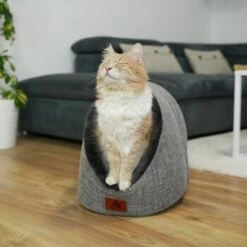 Schlitzohr Katzenhöhle Oskar Grau 20 Schlitzohr Katzenhöhle Oskar Grau -ANIMONDA Verkäufe 6dc322d0c0c691311c750126461acbb0bfd7f106 1484676 de DE cf48f7f4d140da3e59fb3189e3029debd29d4937tKSJNT