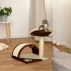 Lionto Kratzbaum Höhe 43 Cm Braun/ Beige -ANIMONDA Verkäufe 731e3c33fcb667d66ff727bb63814b5ce888c519 1651773 de DE 0ba297da15fdf41ea5a8788c803a11c8eef1c103muQtWx