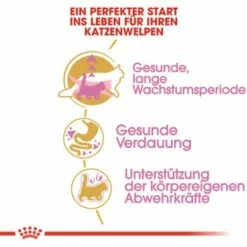 ROYAL CANIN Maine Coon Kitten 4 Kg -ANIMONDA Verkäufe 762fe3d95c521f1c9aed31bc11ea5f813cb64625 48abad1c00ba32352c5f4e40b8a5a9d5e4dec65f