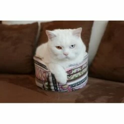 Canadian Cat Company Katzenschiff MAJA 11 Canadian Cat Company Katzenschiff MAJA -ANIMONDA Verkäufe 766deb875332e5f5e0863d1a2d85001bb4ef9b90 1412668 de DE bd0dc038d80f4f0d2f7a8d881a21a125e897f0d3Dfo1wn