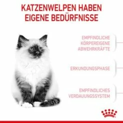 ROYAL CANIN Kitten 4 Kg 14 ROYAL CANIN Kitten 4 Kg -ANIMONDA Verkäufe 76c69f287cfbe56e3ecbc6374c1c83282049ff9f 3182550702973 4