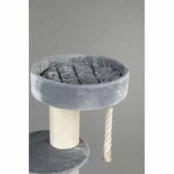 RHR Quality Kratzbaum Maine Coon Sleeper Hellgrau -ANIMONDA Verkäufe 76e882e823bd4c6a089b707ce82045636f90eb89 1653301 de DE d149a118450ce7f2920d8fd90d2479321605bbf1IbIncy