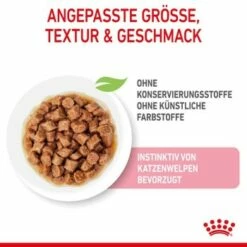 ROYAL CANIN KITTEN STERILISED In Soße 12 X 85g -ANIMONDA Verkäufe 7788943ca3adca2f0652e2721d0ff66dc4a99811 1298264 de DE Kittenster 3