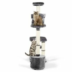 MORE Kratzbaum Rock'n'Roll -ANIMONDA Verkäufe 787429570e005b04d57fafb000ef802fa3f58717 77e0f5d043231d9d5dc3881094c7e7009a06cae8