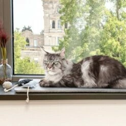 Canadian Cat Company Filzmatte Für Fensterbank Hellgrau S -ANIMONDA Verkäufe 7885f06a61233bc404e6a3aa7f8cd882fde8d497 1498575 de DE 613cf8659fcca6edb1e226239a406f420c510b04Tro7m3