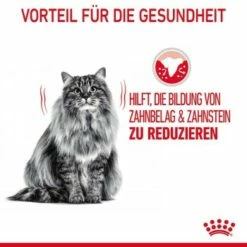 ROYAL CANIN Dental Care 3,5 Kg -ANIMONDA Verkäufe 799e728673ffad2d7a70f49cd2891c4f467ab976 1003121009 de DE rc 5