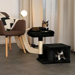 Lionto Kratzbaum 50 Cm Schwarz -ANIMONDA Verkäufe 7a4fdb048438d7541c9e09a10efabe693bc4320b 1657017 de DE 254b7c9c0cfdc7971bd88e8e452f13909c8f2c09Qbu3kJ