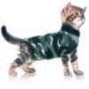 Trovet Katzenbody Recovery Suit XS 2 Trovet Katzenbody Recovery Suit XS -ANIMONDA Verkäufe 7ad0fffdd76bbebfa8c0171c143c39460980b4a6 a96de6f4538d86c6d97896ea896c78b4dc062293