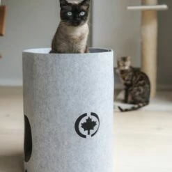 Canadian Cat Company Filzbett Owen-Tower -ANIMONDA Verkäufe 7de15b7ab3d0a3da50a54b91f1a6b746b12be302 1394209 de DE 768a45a9be27cfd0fb27e1bf0942b4e67e500c7ee16ity