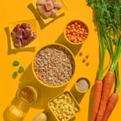 Fred & Felia FELIA 10x200g Huhn -ANIMONDA Verkäufe 7e93c87f3bf5a7c166224c4e2c11e0bf359859f3 1422055 de DE 62374aa99ffbad947366c1bb2c8fe35cf502571cJBPclz