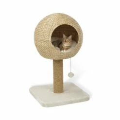 AniOne Kratzbaum Taro -ANIMONDA Verkäufe 8015d7b4c0183292da7990dff25b7ff1c97f7ca6 4661a3fe35a0d785da64c78b80181fd4eec21218