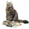 Canadian Cat Company Baldrian & Catnipspielzeug Katzenkissen LOVE, 6er Pack -ANIMONDA Verkäufe 8146cc5c2f0d90049f7f18a19fb561c35f46fbb1 1493989 de DE 6ccdf74d5e4f1a59c2343b32af7bb9814fa4cbfbSBAjeL