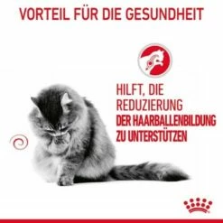 ROYAL CANIN Hairball Care 12 X 85 G -ANIMONDA Verkäufe 81812c97ef6be37b8d0c7dab9df24712cfb21604 1229818 4