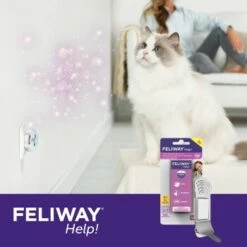 Feliway Help! 3x Nachfüllkartusche Zur Stressreduzierung 16 Feliway Help! 3x Nachfüllkartusche Zur Stressreduzierung -ANIMONDA Verkäufe 83d8bd2d632495b4f07a2b518043ffffb0104261 1380137 3