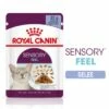 ROYAL CANIN SENSORY Feel In Gelee Für Wählerische Katzen 12x85g -ANIMONDA Verkäufe 84e70622fa17a4477e695e9dab81b6845f821866 09dab7b2ca5ec9dea99bb765c141202761c9b452
