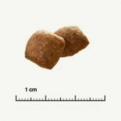 SELECT GOLD Urinary Adult Geflügel & Reis 2,5 Kg 12 SELECT GOLD Urinary Adult Geflügel & Reis 2,5 Kg -ANIMONDA Verkäufe 854b6f3783a732e74601afa7a935f9af2b196682 1001086022 de DE 6