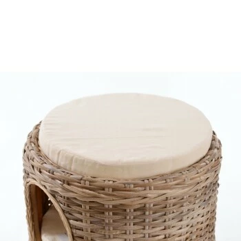 Rohrschneider Katzenturm Ricki 6 Rohrschneider Katzenturm Ricki – Bild 4