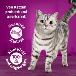 Whiskas Tasty Mix Multipack Chef's Choice In Sauce 40 X 85g -ANIMONDA Verkäufe 90c69f8b60998b1e42a320aa3c632d7b173d2464 1410720 de DE Whiskas 7