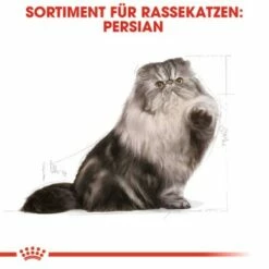 ROYAL CANIN Persian Adult 10 Kg -ANIMONDA Verkäufe 9165cac29a72299b97dae8a447d82fe7420a785a d15d6f63a0146aa9aad91fbc1d1013d7e48a8bed