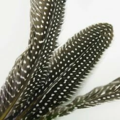 Schlitzohr Katzenangel Federanhänger 5x -ANIMONDA Verkäufe 93b8e0c984d323f24d455bf8e74e2dbacef5703e 1484675 de DE 7b80f213f44ebcad765dbdebc25bf2d2f0177dbd64kHU2